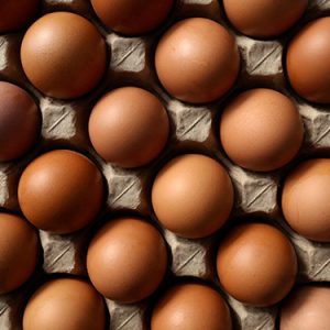 תבנית 12 ביצי חופש